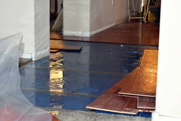 Professional Sewage Cleanup technician working in Hughesville, MO